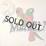 画像: MACAW . LIVE AT REGGAE SUNSPLASH