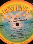 画像2: MACAW . LIVE AT REGGAE SUNSPLASH