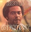 画像1: JOHN HOLT . ROOTS OF HOLT