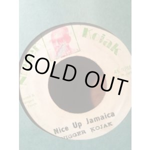 画像: NIGGER KOJAK . NICE UP JAMAICA