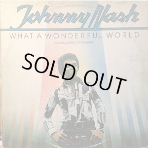画像: JOHNNY NASH / WHAT A WONDERFUL WORLD
