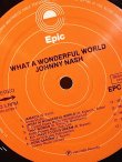 画像2: JOHNNY NASH / WHAT A WONDERFUL WORLD