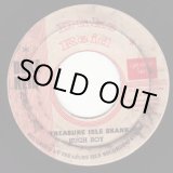 画像: HUGH ROY / TREASURE ISLE SKANK . WORDS OF WISDOM