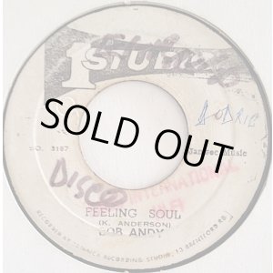 画像: BOB ANDY / FEELING SOUL