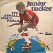 画像1: JUNIOR TUCKER / IT'S A SMALL SMALL WORLD