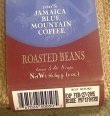 画像3: ジャマイカ産ブルーマウンテン コーヒー / blue mountain cofee