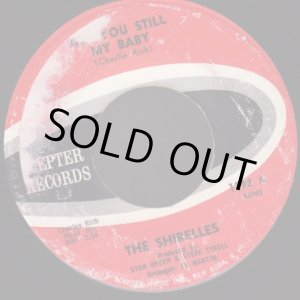 画像: THE SHIRELLES / ARE YOU STILL MY BABY . I SAW A TEAR