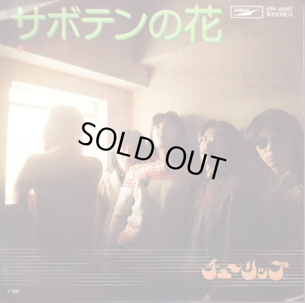 画像1: チューリップ / サボテンの花 . なくした言葉