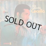 画像: KEN LAZARUS / CECELIA