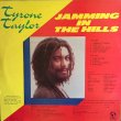 画像2: TYRONE TAYLOR / JAMING IN THE HILLS