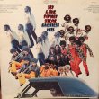 画像1: SLY & THE FAMILY STONE / GREATEST HITS