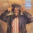 画像1: DENNIS BROWN / SLOW DOWN