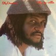 画像1: SLY DUNBAR / SLY GO VILLE