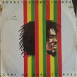 画像1: DENNIS BROWN / JOSEPH'S COAT OF MANY COLOURS