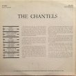 画像2: THE CHANTELS / THE CHANTELS 