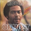 画像1: JOHN HOLT / ROOTS OF HOLT