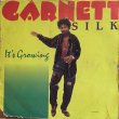 画像1: GARNETT SILK / IT'S GROWING