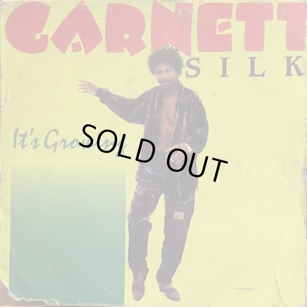 画像1: GARNETT SILK / IT'S GROWING