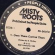 画像3: MISTY IN ROOTS / OWN THEM CONTROL THEM