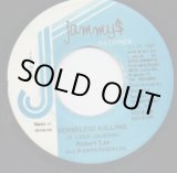 画像: ROBERT LEE / SENSELESS KILLING