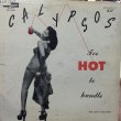 画像1: CALYPSO / TOO HOT TO HANDLE