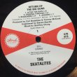 画像3: THE SKATALITES / RETURN OF THE BIG GUNS