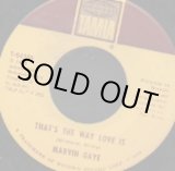 画像: MARVIN GAYE / THAT'S THE WAY LOVE IS . GONNA KEEP ON TRYIN' TILL I WIN YOUR LOVE