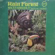 画像1: WALTER WANDERLEY / RAIN FOREST