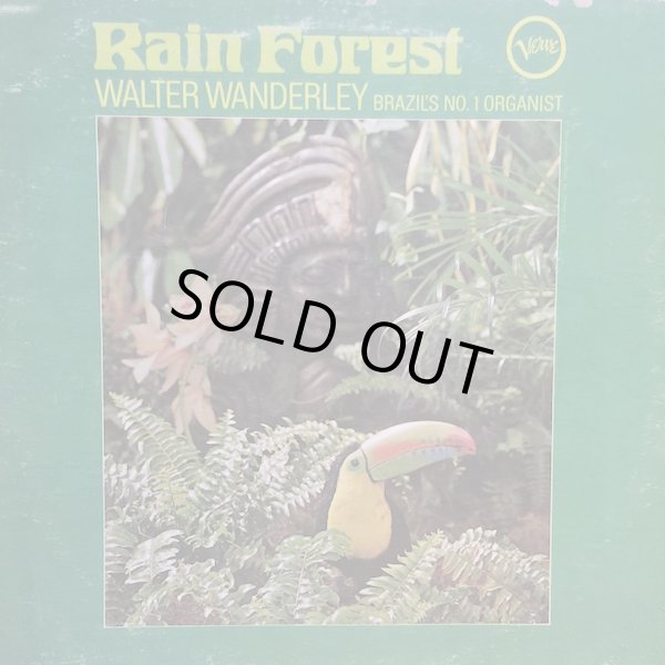 画像1: WALTER WANDERLEY / RAIN FOREST