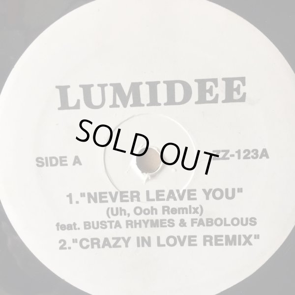 画像1: LUMIDEE feat BUSTA RHYMES & FABOLOUS  / NEVER LEAVE YOU 