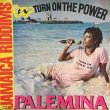 画像1: PALEMINA / TURN ON THE POWER