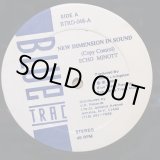 画像: ECHO MINOTT . NEW DIMENSION SOUND / WAYNE FIRE WOMAN PENSION