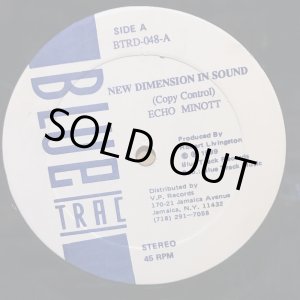 画像: ECHO MINOTT . NEW DIMENSION SOUND / WAYNE FIRE WOMAN PENSION