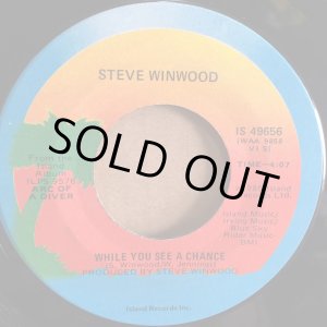 画像: STEVE WINWOOD / WHILE YOU SEE A CHANCE . VACANT CHAIR