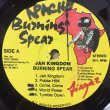 画像3: BURNING SPEAR / JAH KINGDUM