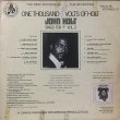 画像2: JOHN HOLT / ONE THOUSAND VOLTS OF HOLT