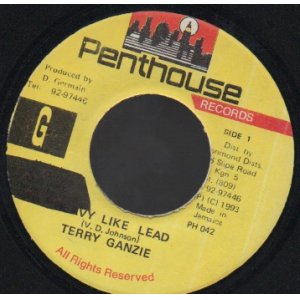 画像: TERRY GANZIE / HEAVY LIKE LEAD