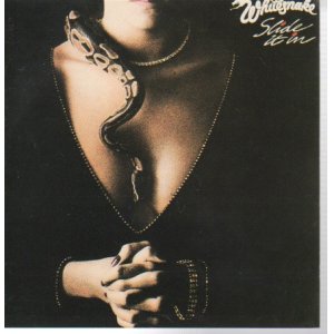 画像: WHITESNAKE / SLIDE IT IN