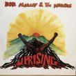 画像1: BOB MARLEY & THE WAILERS / UPRISING