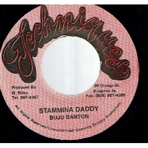 画像: BUJU BANTON / STAMINA DADDY