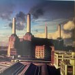 画像1: PINK FLOYD / ANIMALS 