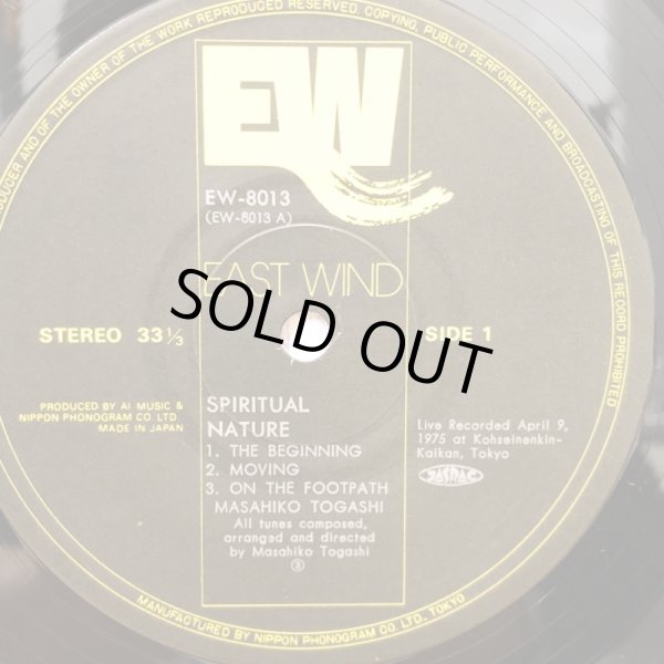 画像3: Masahiko Togashi / SPIRITUAL NATURE  スピリチュアル・ネイチャー 冨樫雅彦