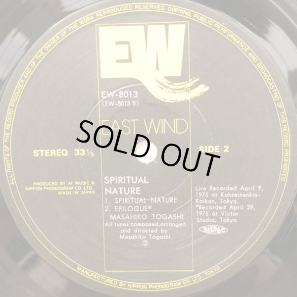 画像4: Masahiko Togashi / SPIRITUAL NATURE  スピリチュアル・ネイチャー 冨樫雅彦