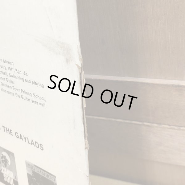 画像5: THE GAYLADS / Sunshine is Golden