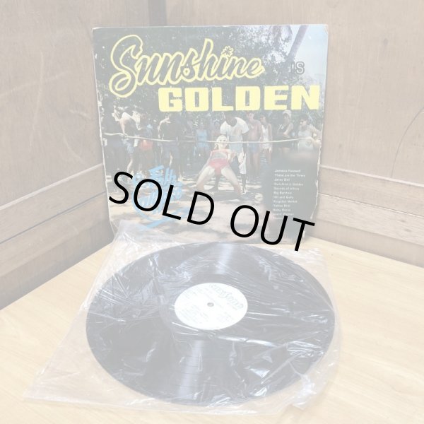 画像8: THE GAYLADS / Sunshine is Golden