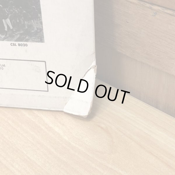 画像4: THE GAYLADS / Sunshine is Golden