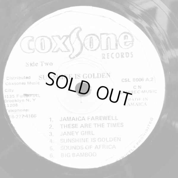 画像7: THE GAYLADS / Sunshine is Golden