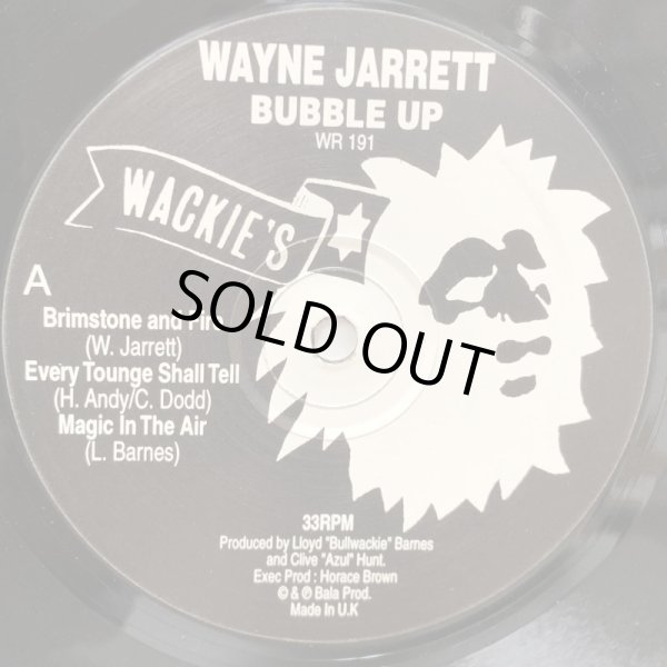 画像3: WAYNE JARRETT / BUBBLE UP