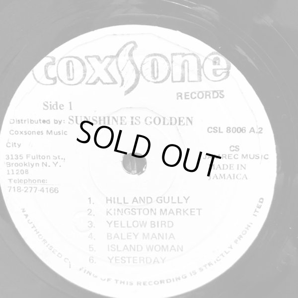 画像6: THE GAYLADS / Sunshine is Golden