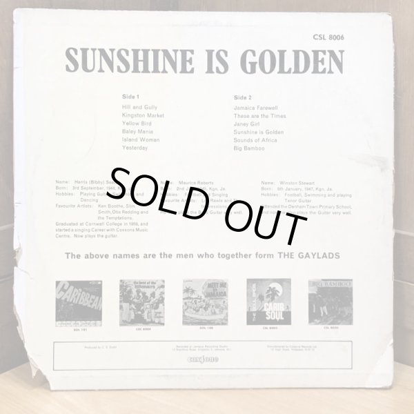 画像2: THE GAYLADS / Sunshine is Golden